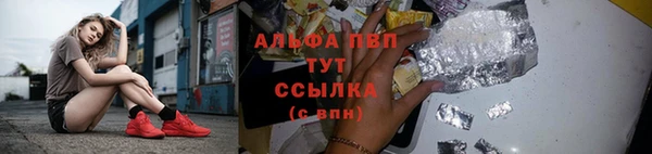 PSILOCYBIN Балахна