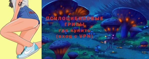 PSILOCYBIN Балахна